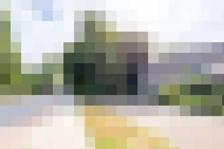 Aubadestraat 1 Venray thumbnail 52