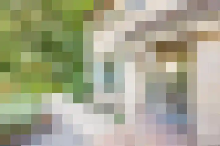 Aubadestraat 1 Venray thumbnail 7