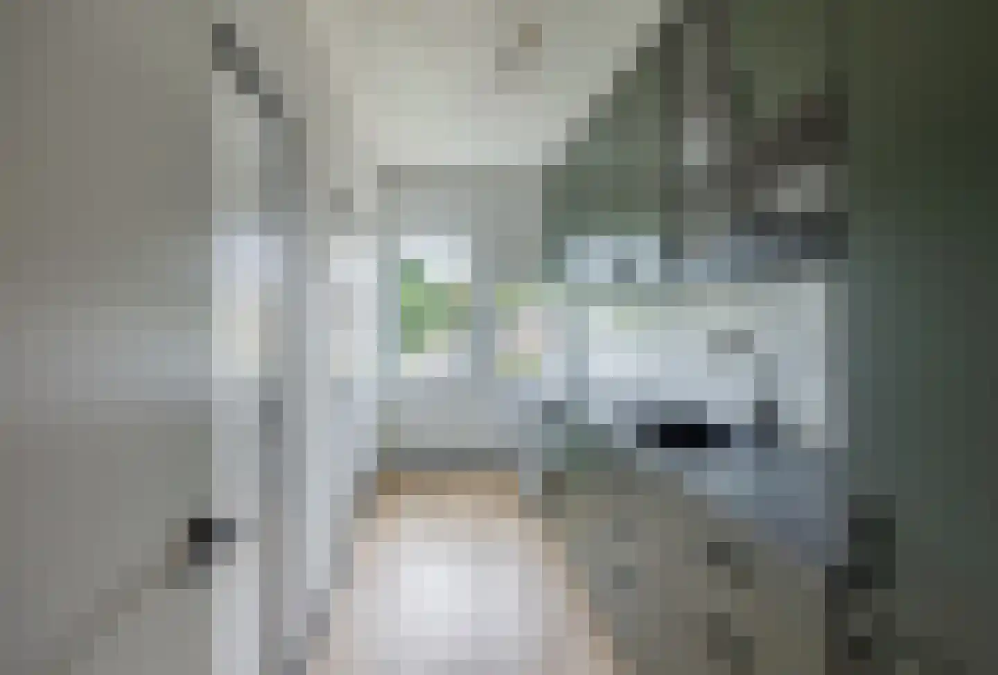Aubadestraat 14 Nijmegen thumbnail 9