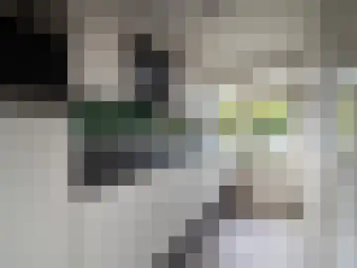 Aubadestraat 2 Nijmegen thumbnail 4