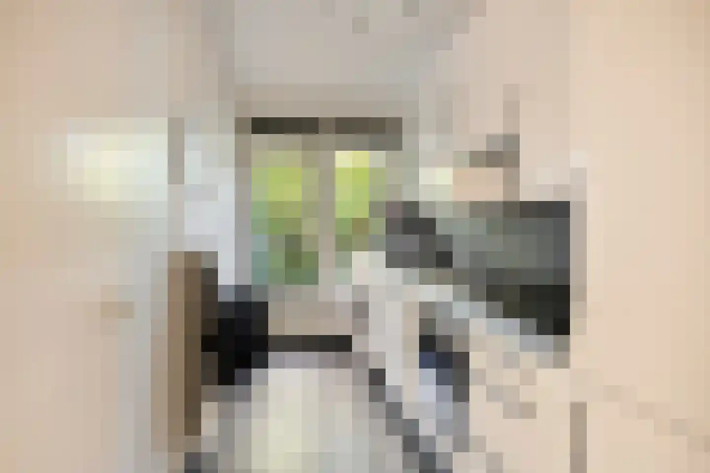 Aubadestraat 324 Nijmegen thumbnail 4