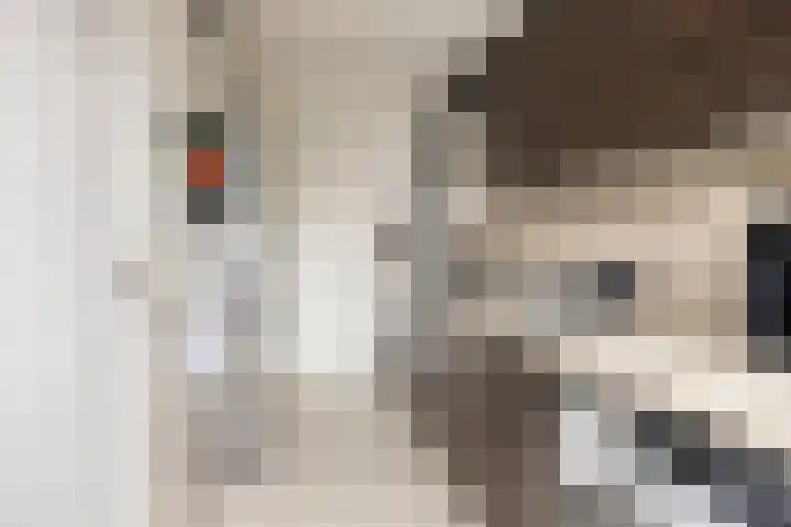Aubadestraat 4 Nijmegen thumbnail 15