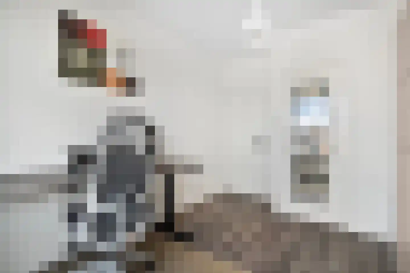 Aubadestraat 54 Nijmegen thumbnail 22