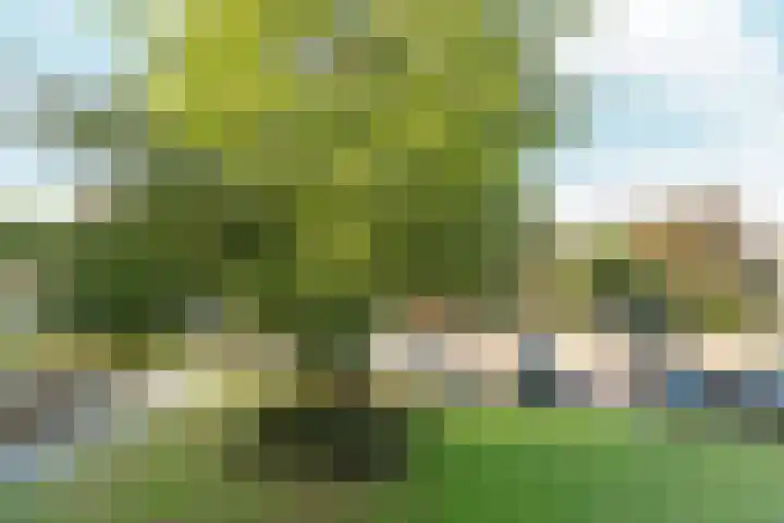 Aubadestraat 62 Nijmegen thumbnail 9