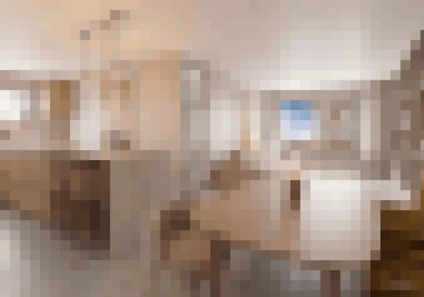 Aubadestraat 67 Nijmegen thumbnail 8