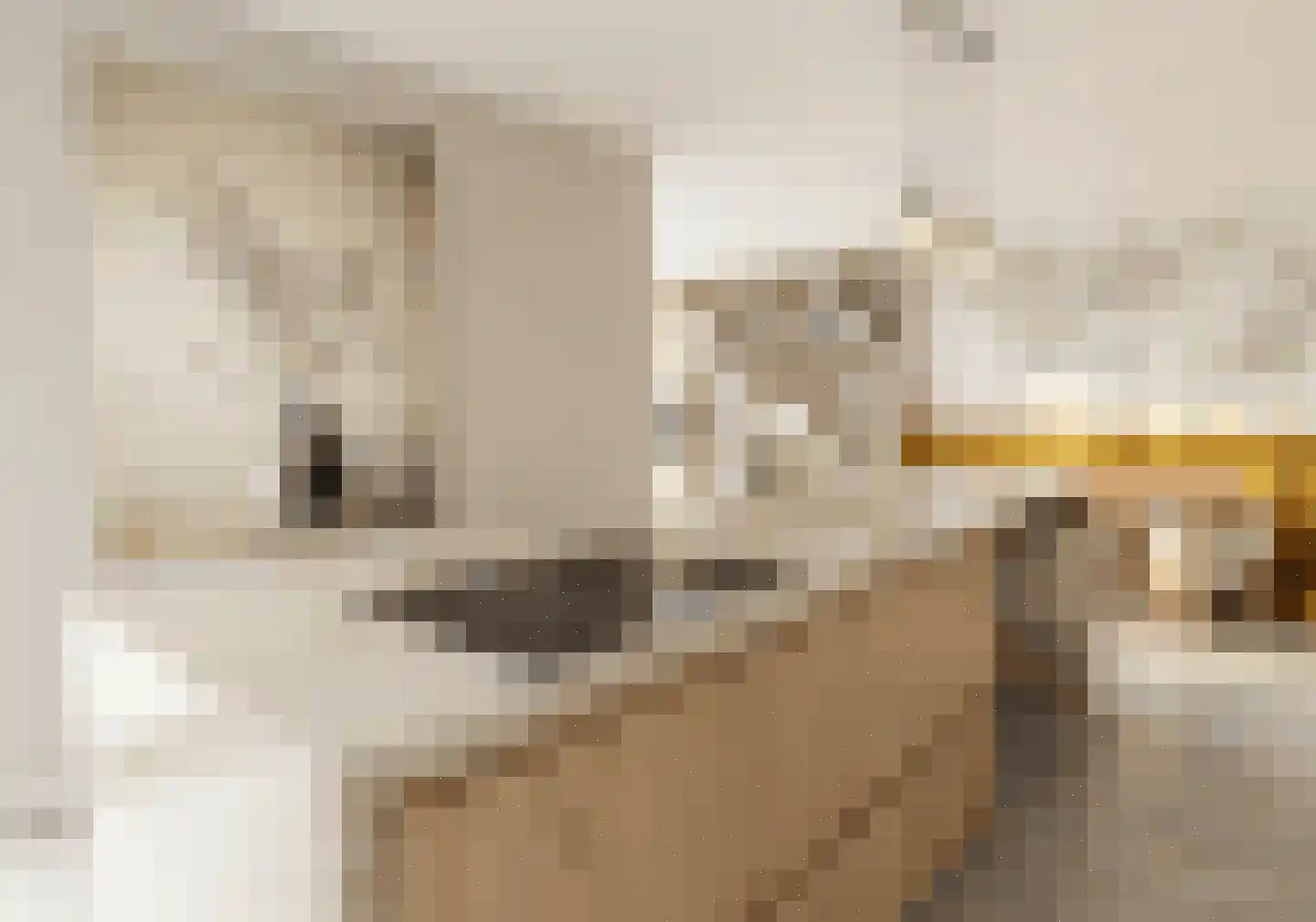 Aubadestraat 67 Nijmegen thumbnail 9