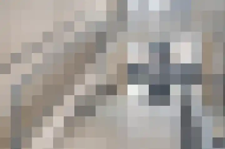Aubeldomein 1 C Maastricht thumbnail 34