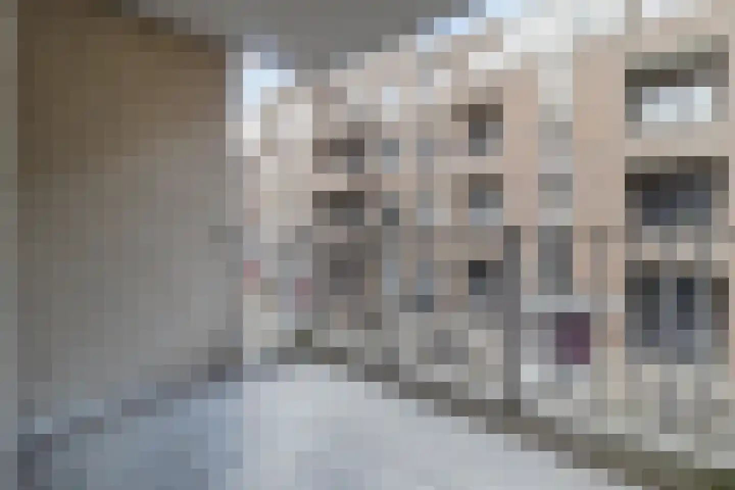 Aubeldomein 7 B Maastricht thumbnail 19