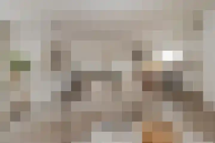Aubeldomein 7 C Maastricht thumbnail 8