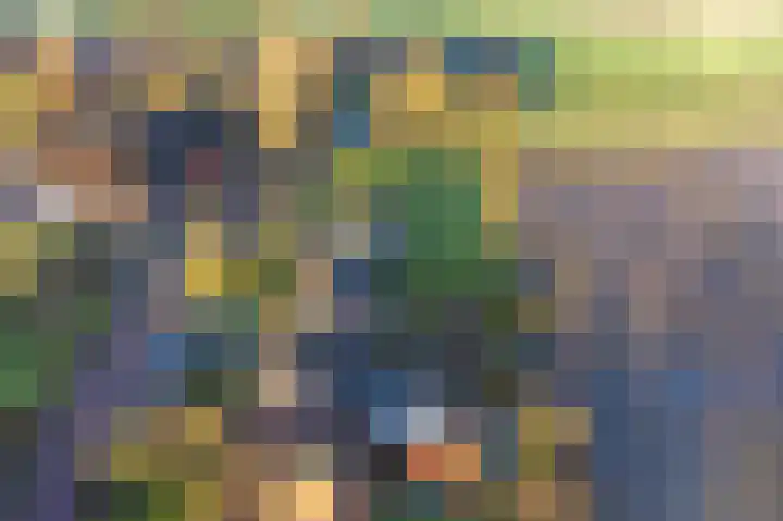Auck Doniastrjitte 4 Nijewier
