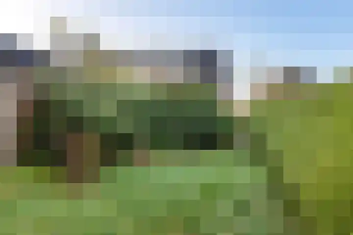 Auck Doniastrjitte 4 Nijewier thumbnail 13