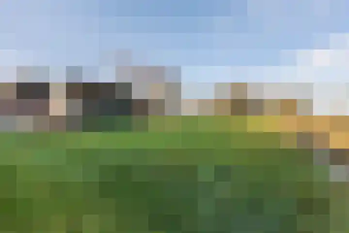 Auck Doniastrjitte 4 Nijewier thumbnail 16
