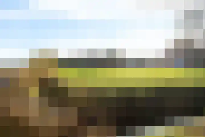 Auck Doniastrjitte 4 Nijewier thumbnail 17
