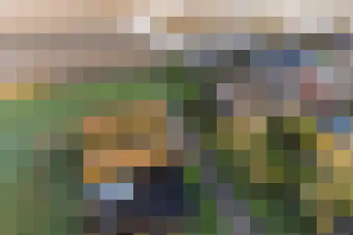 Auck Doniastrjitte 4 Nijewier thumbnail 19