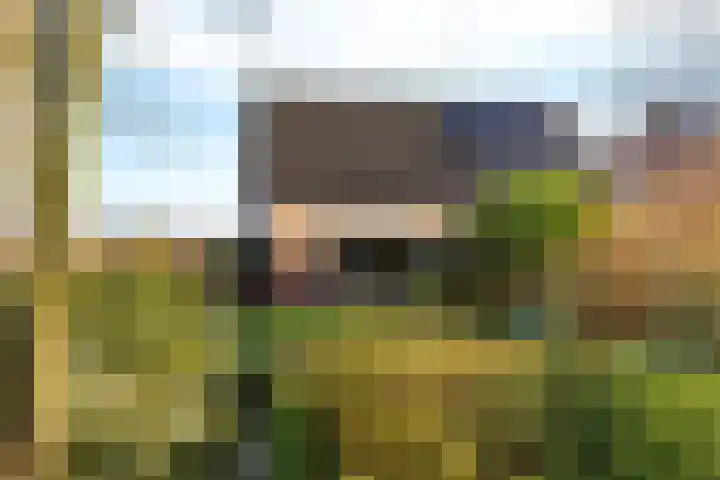 Auck Doniastrjitte 4 Nijewier foto 2
