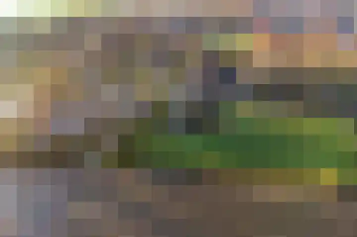 Auck Doniastrjitte 4 Nijewier thumbnail 20