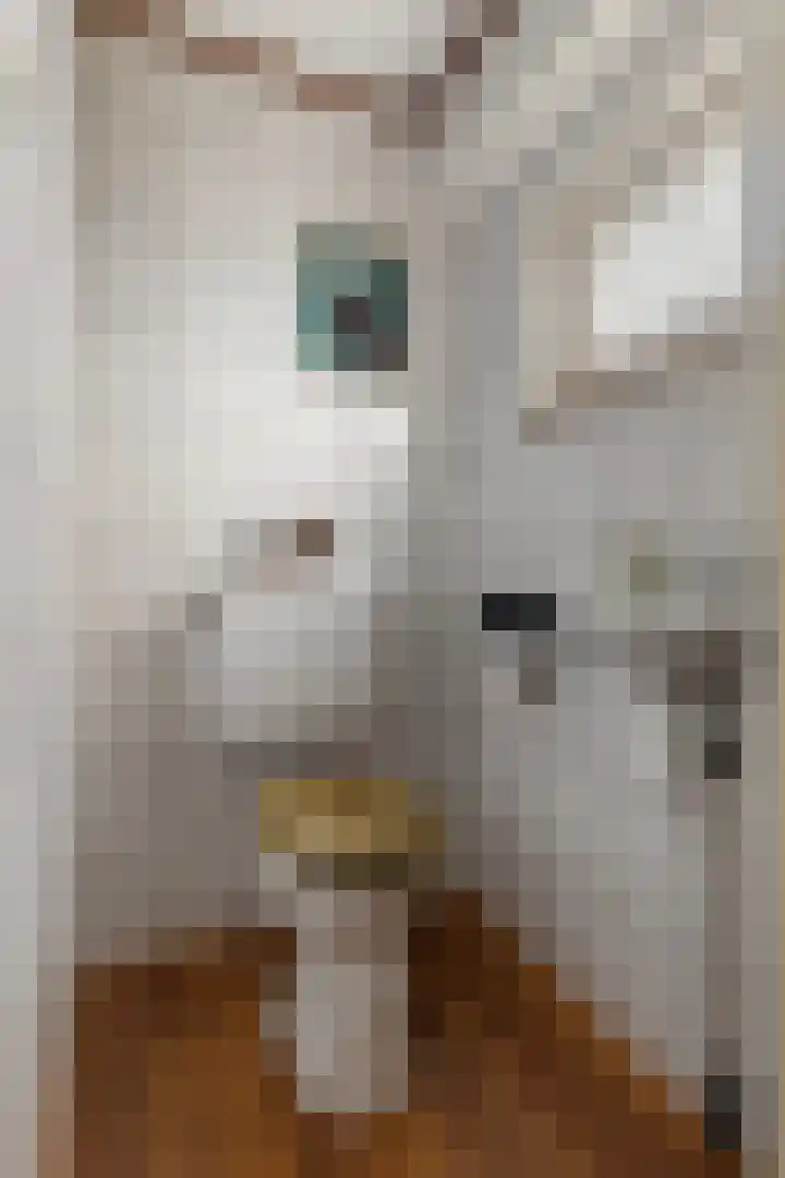 Auck Doniastrjitte 7 Nijewier thumbnail 10