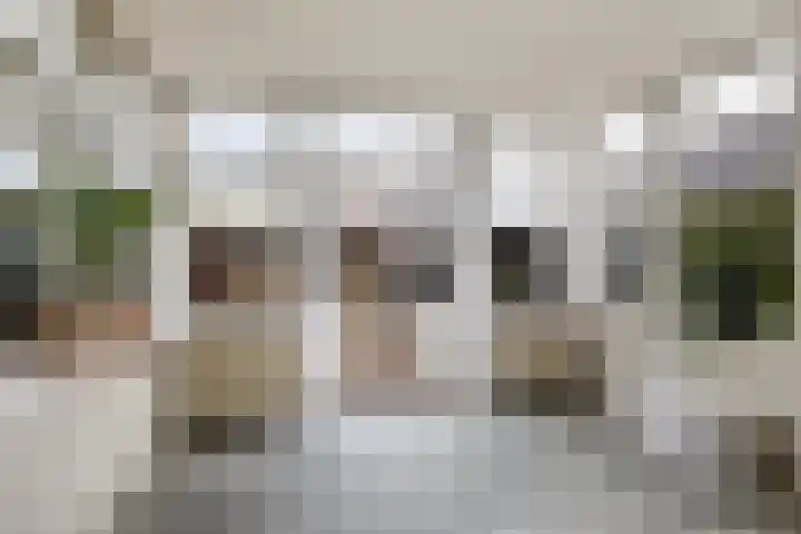 Auck Doniastrjitte 7 Nijewier thumbnail 14