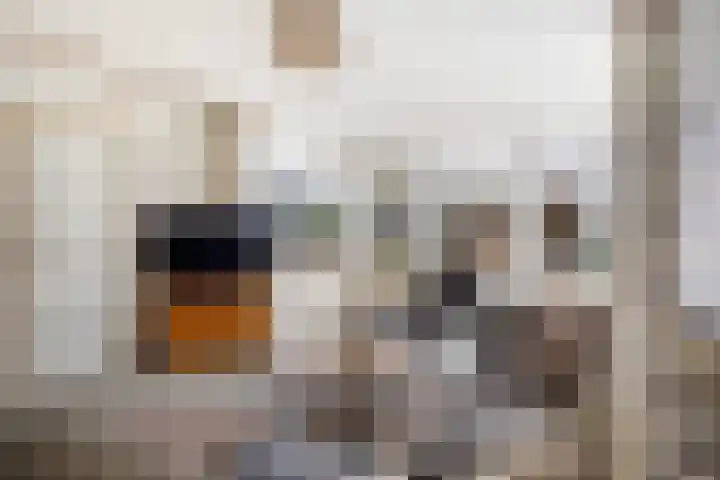 Auck Doniastrjitte 7 Nijewier thumbnail 16