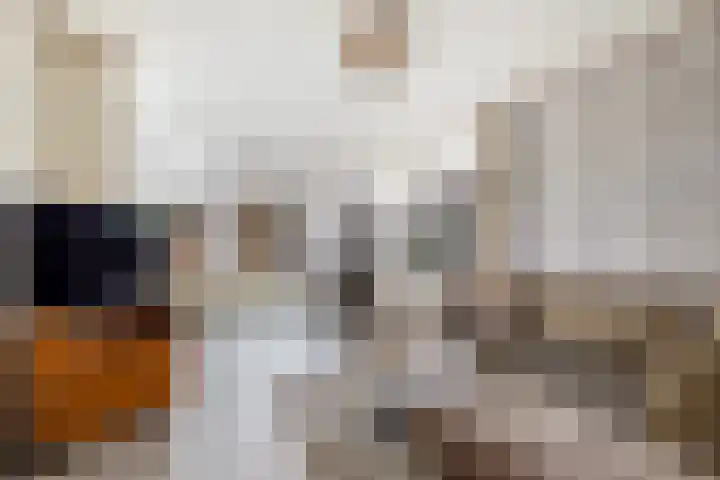 Auck Doniastrjitte 7 Nijewier thumbnail 17