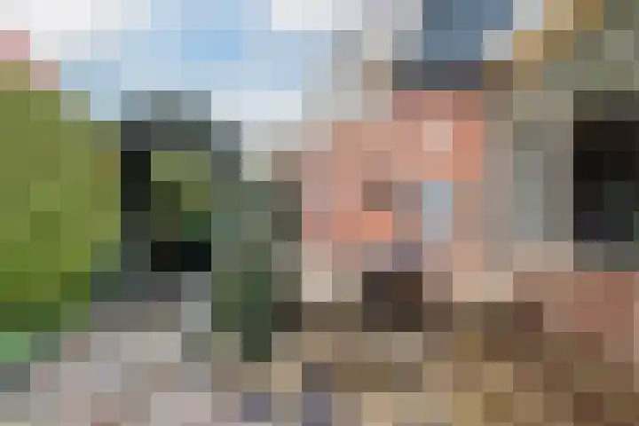 Auck Doniastrjitte 7 Nijewier thumbnail 20