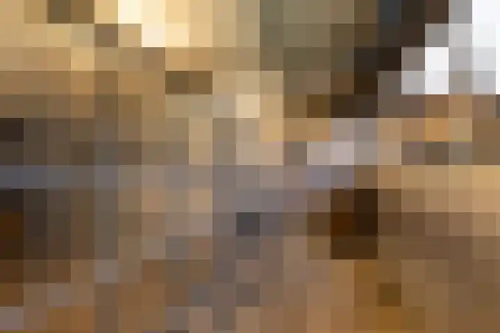 Auck Doniastrjitte 7 Nijewier thumbnail 22