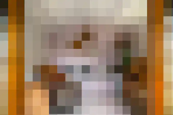 Auck Doniastrjitte 7 Nijewier thumbnail 24