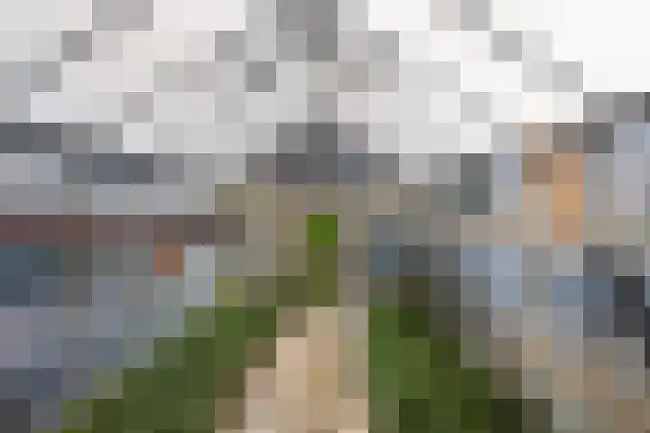 Auck Doniastrjitte 7 Nijewier thumbnail 25