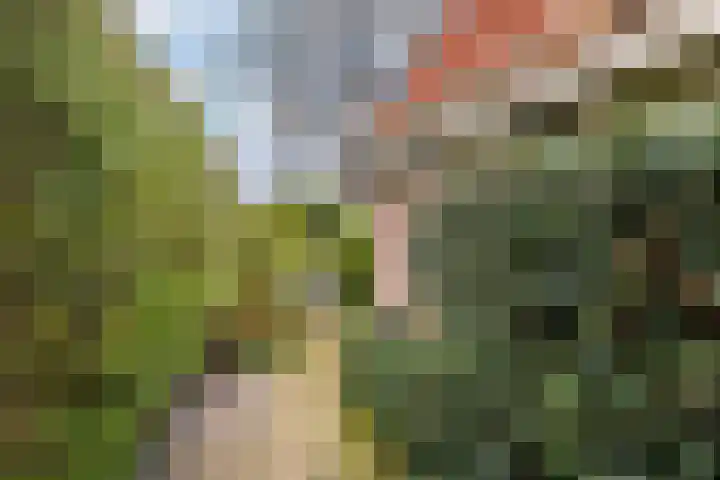 Auck Doniastrjitte 7 Nijewier thumbnail 29
