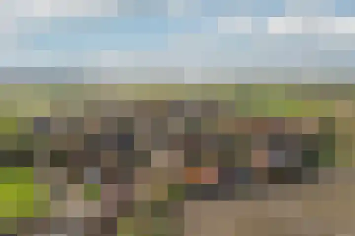 Auck Doniastrjitte 7 Nijewier foto 3