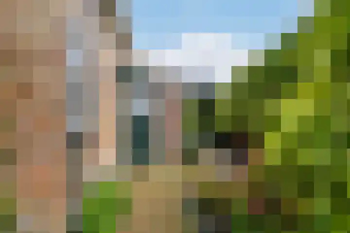 Auck Doniastrjitte 7 Nijewier thumbnail 30