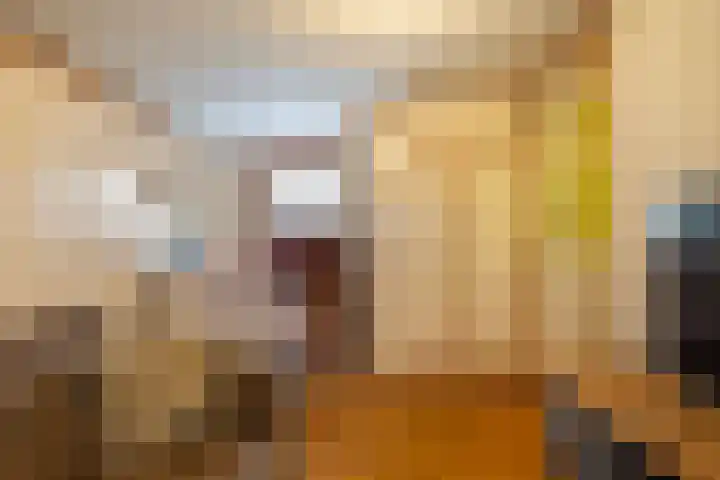 Auck Doniastrjitte 7 Nijewier thumbnail 31