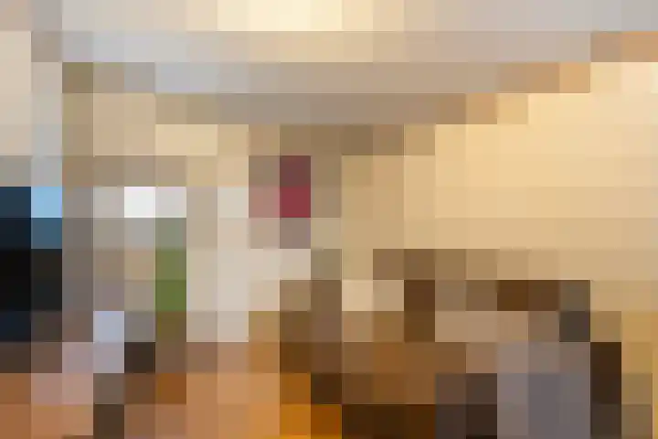 Auck Doniastrjitte 7 Nijewier thumbnail 32