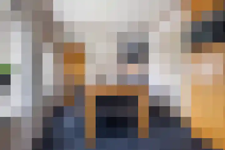 Auck Doniastrjitte 7 Nijewier thumbnail 35