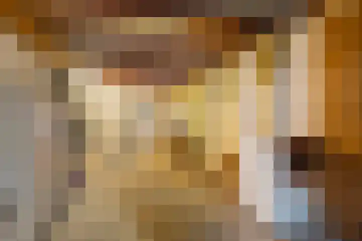 Auck Doniastrjitte 7 Nijewier thumbnail 38