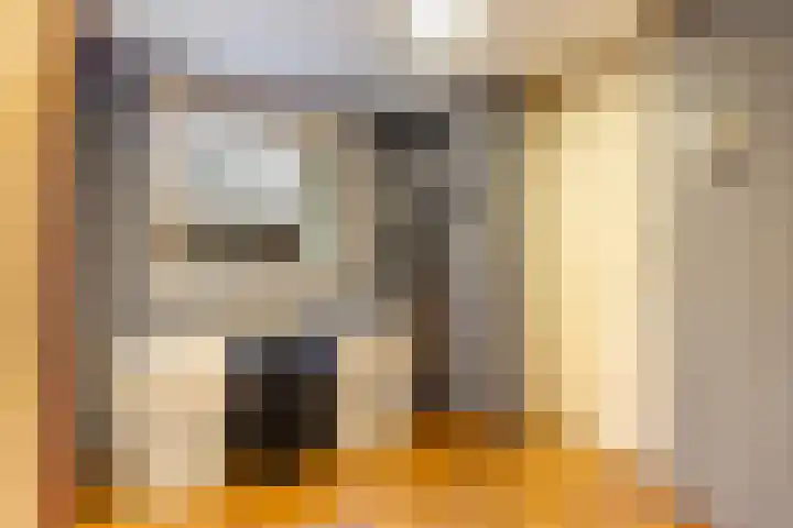 Auck Doniastrjitte 7 Nijewier thumbnail 43