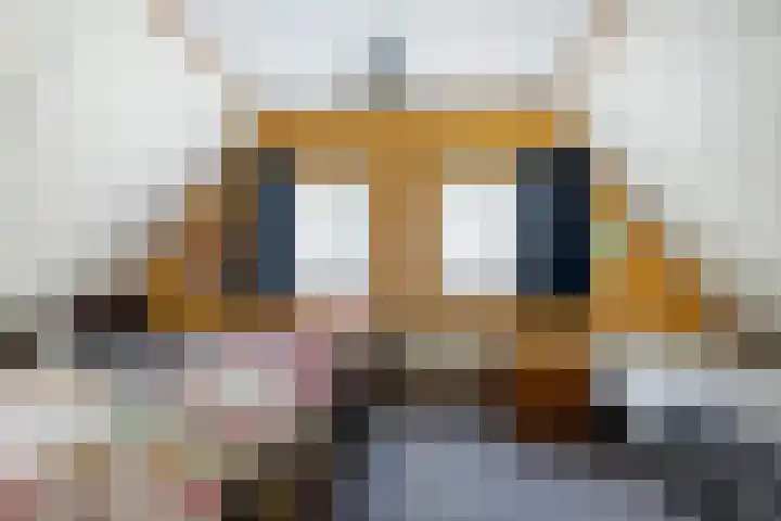 Auck Doniastrjitte 7 Nijewier thumbnail 48