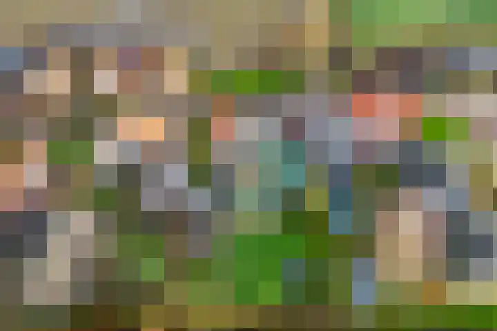 Auck Doniastrjitte 7 Nijewier thumbnail 6
