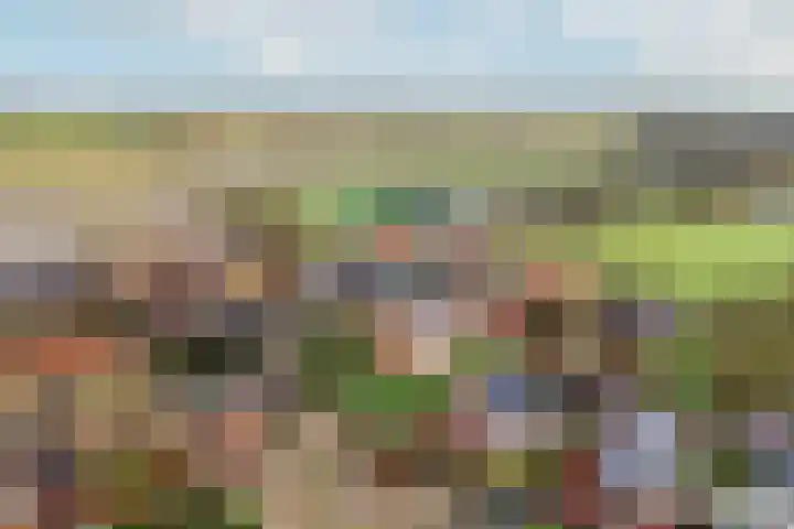 Auck Doniastrjitte 7 Nijewier thumbnail 7