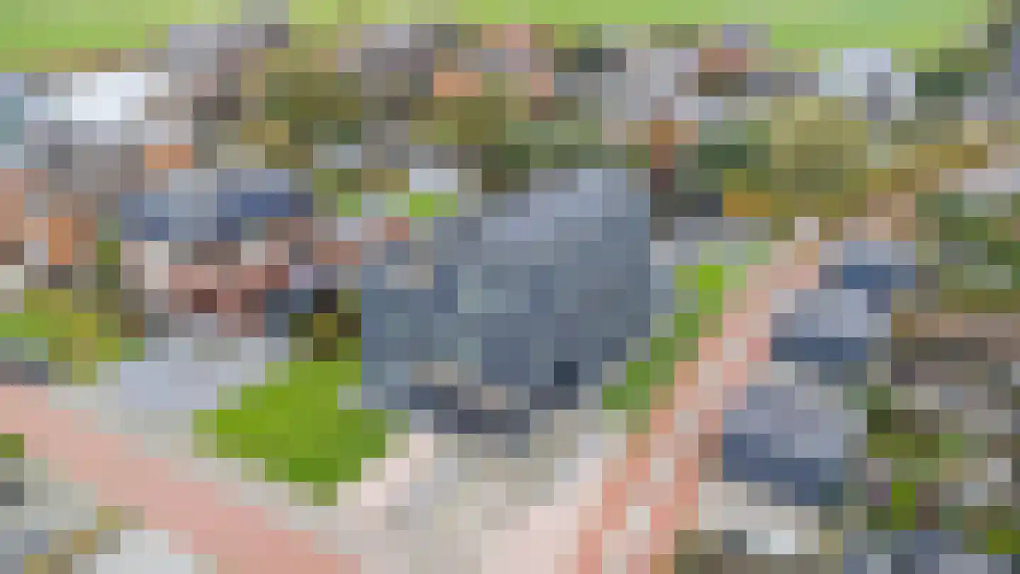 Auck Petersstrjitte 2 Leeuwarden thumbnail 12