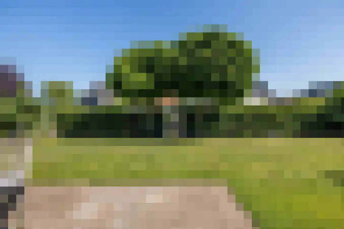Auck Petersstrjitte 6 Leeuwarden thumbnail 55