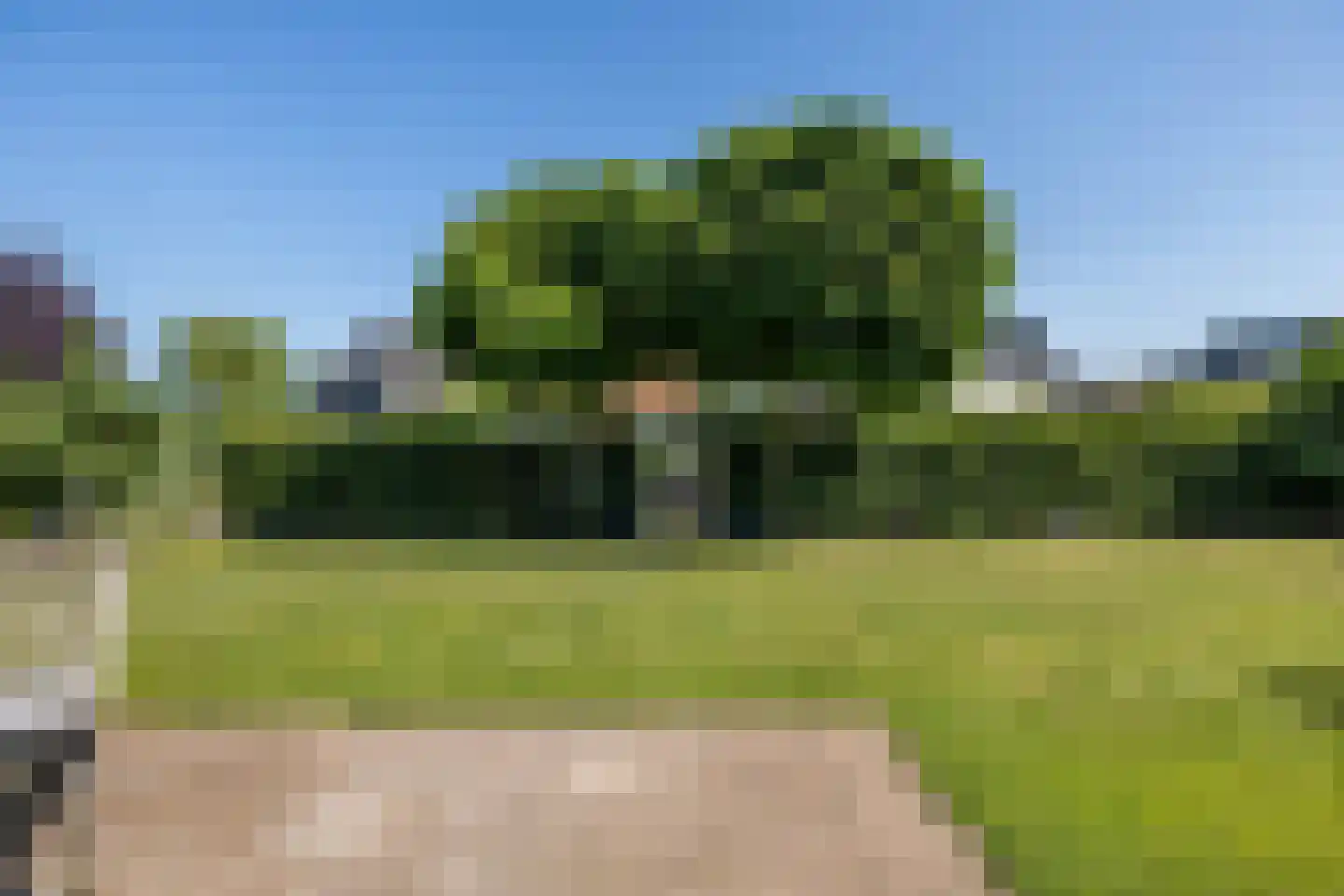 Auck Petersstrjitte 6 Leeuwarden thumbnail 56
