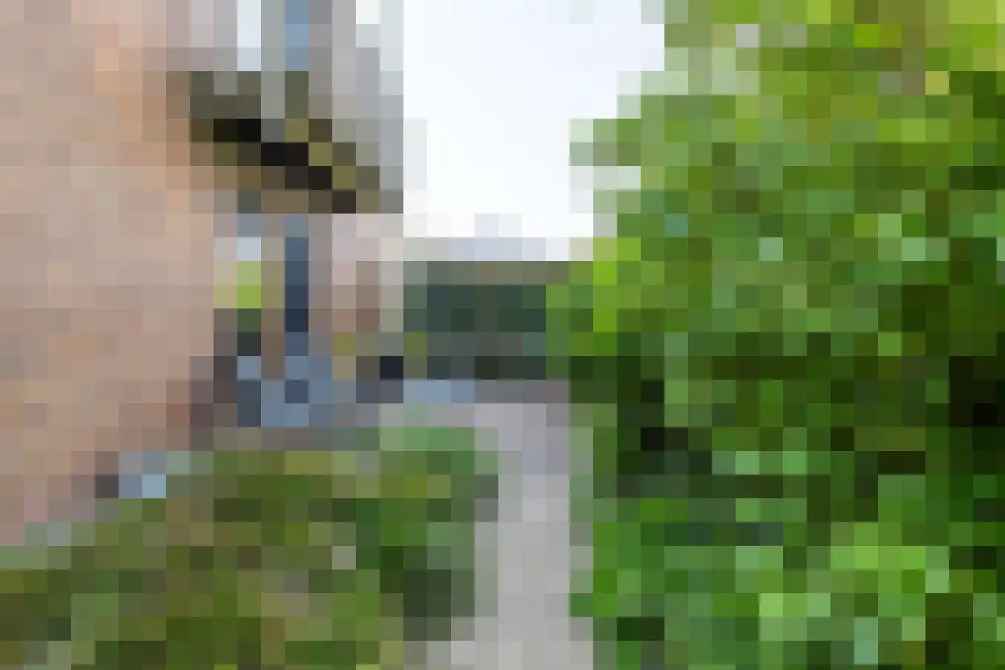 Auck Petersstrjitte 6 Leeuwarden thumbnail 60