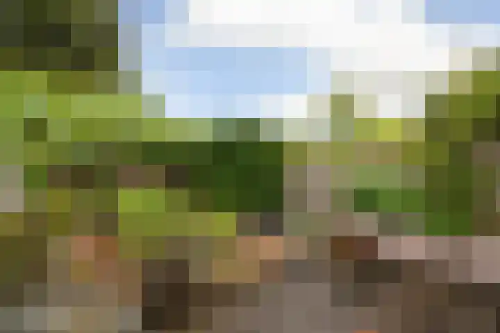 Audrey Hepburnstraat 53 Almere thumbnail 30