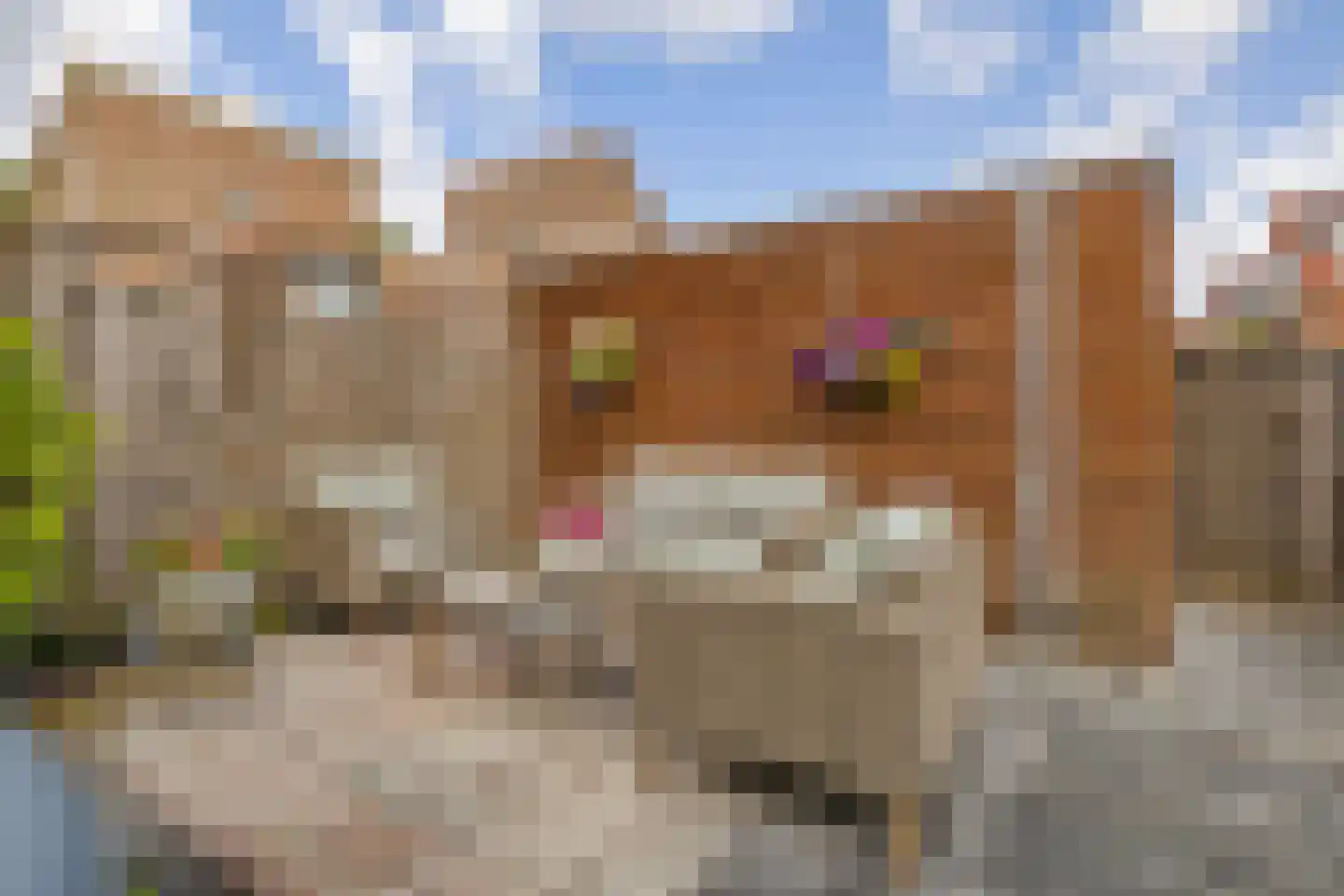 Audrey Hepburnstraat 76 Almere thumbnail 26