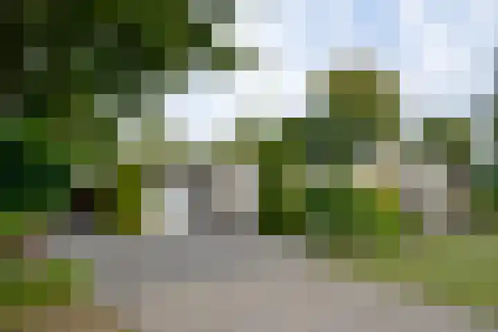 Audrey Hepburnstraat 78 Almere thumbnail 22
