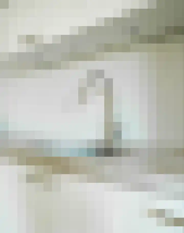 Auerschootseweg 24 Bakel thumbnail 15