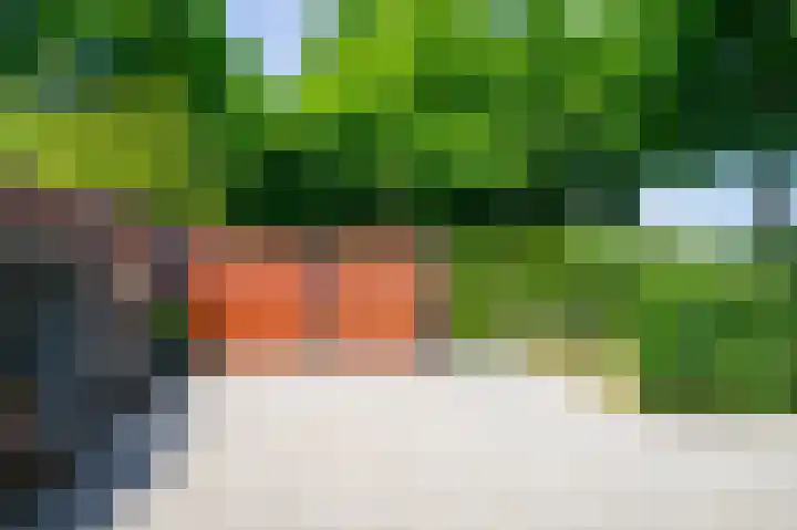 Auerschootseweg 24 Bakel thumbnail 48