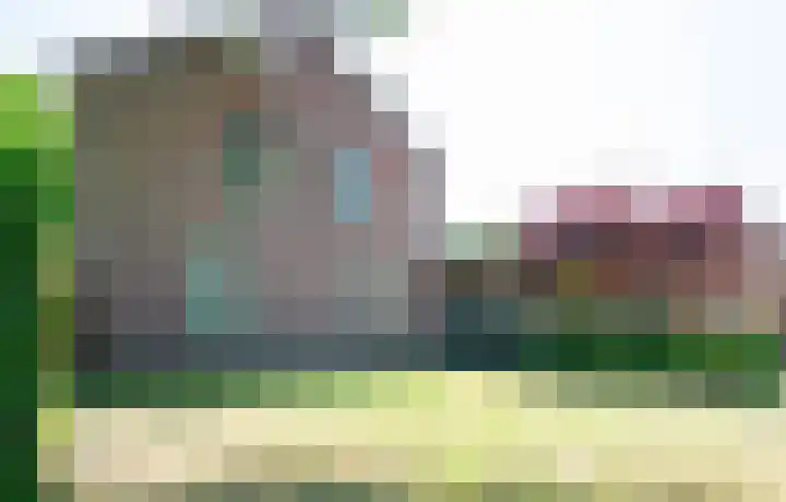 Auerschootseweg 24 Bakel thumbnail 49