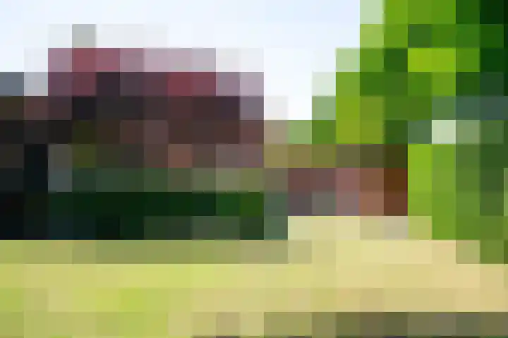 Auerschootseweg 24 Bakel thumbnail 50